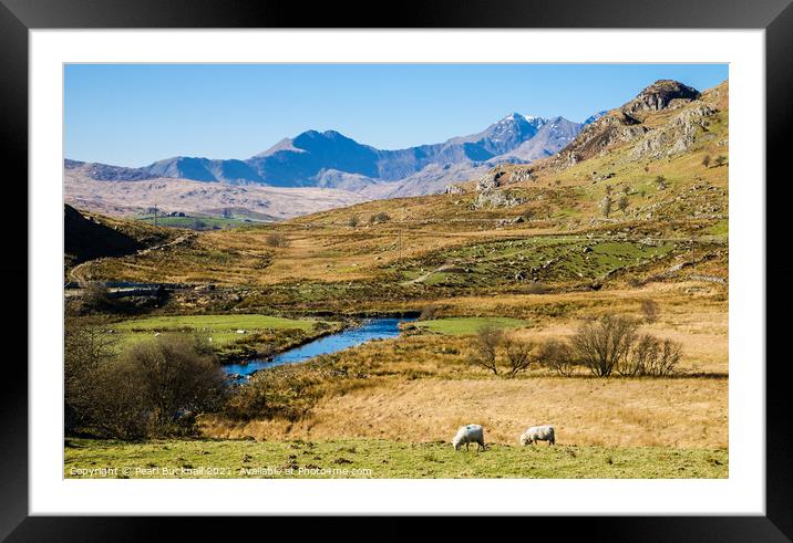 Snowdon Horseshoe from Capel Curig in Snowdonia Framed Mounted Print by Pearl Bucknall