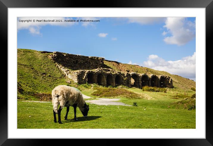 Sheep Grazing Rosedale Yorkshire Moors Framed Mounted Print by Pearl Bucknall