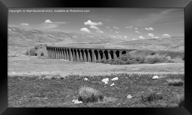 Ribblehead Viaduct Yorkshire Black and White Framed Print by Pearl Bucknall