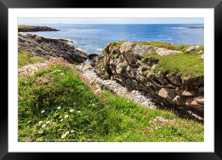 Machair on Rocky Coast Outer Hebrides Scotland Framed Mounted Print by Pearl Bucknall