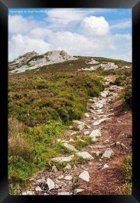 Shropshire Way Path and Stiperstones  Framed Print by Pearl Bucknall