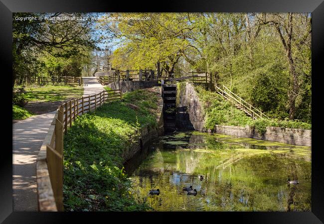 The Fourteen Locks on Monmouthshire Canal Framed Print by Pearl Bucknall