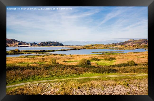 Conwy RSPB Reserve in Autumn Framed Print by Pearl Bucknall