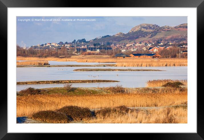 Conwy RSPB Reserve Lagoons Framed Mounted Print by Pearl Bucknall