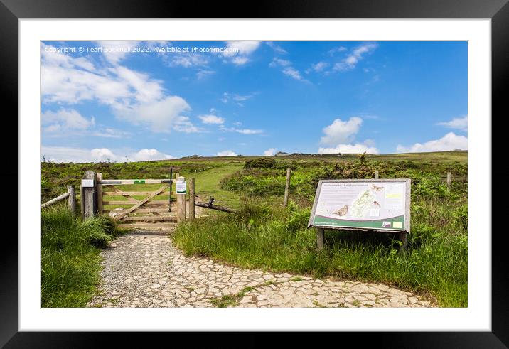 Path to Stiperstones Shropshire Framed Mounted Print by Pearl Bucknall