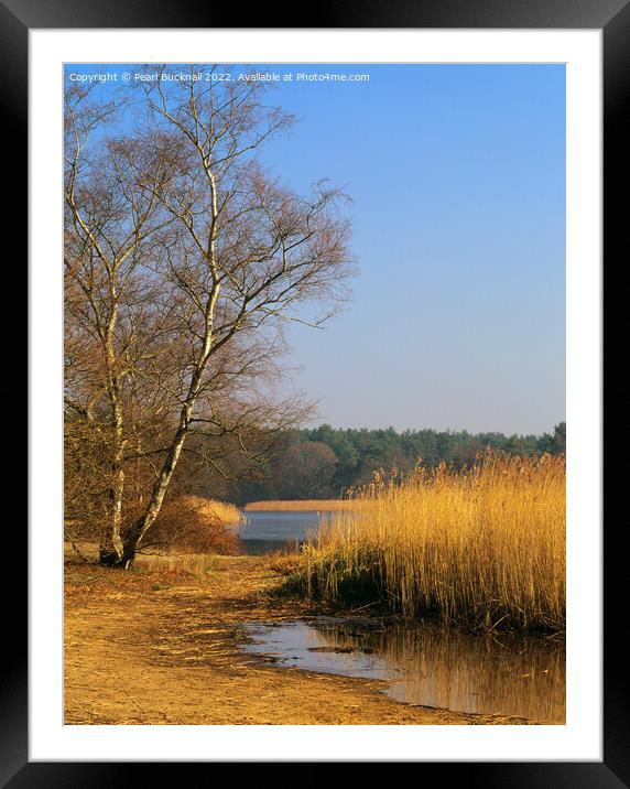 Frensham Little Pond Farnham Surrey Framed Mounted Print by Pearl Bucknall