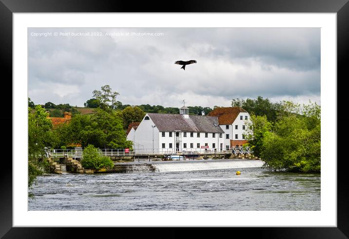 Red Kite over Hambleden Mill Buckinghamshire Berks Framed Mounted Print by Pearl Bucknall