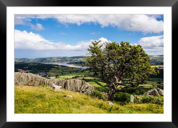 Conwy Valley Landscape Wales Framed Mounted Print by Pearl Bucknall