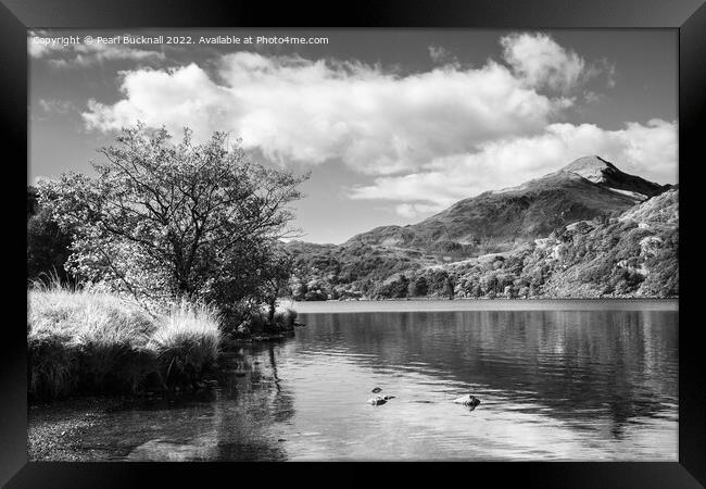 Yr Aran Reflection in Llyn Gwynant Snowdonia Mono Framed Print by Pearl Bucknall