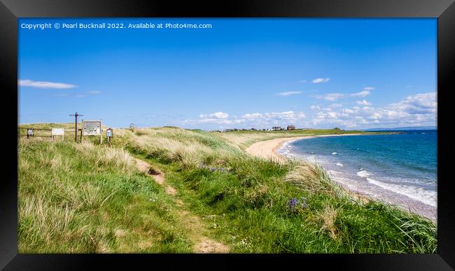 East Neuk of Fife Coastal Path Elie Framed Print by Pearl Bucknall