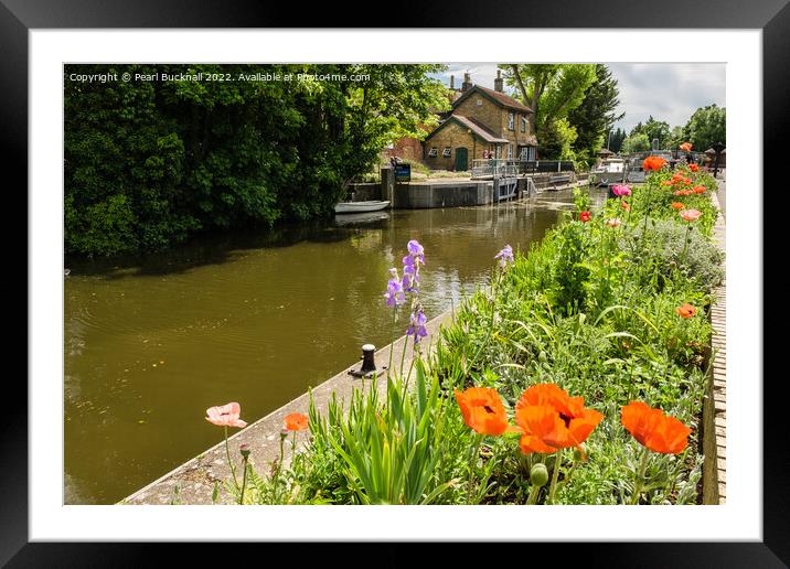 Boulters Lock on the River Thames Framed Mounted Print by Pearl Bucknall