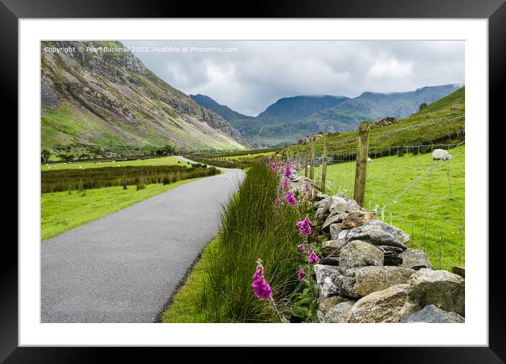 Nant Ffrancon Country Lane in Snowdonia Framed Mounted Print by Pearl Bucknall