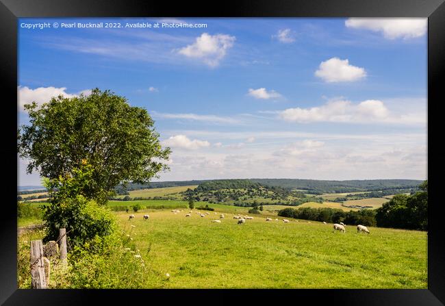 Country Scene South Downs Sussex Framed Print by Pearl Bucknall