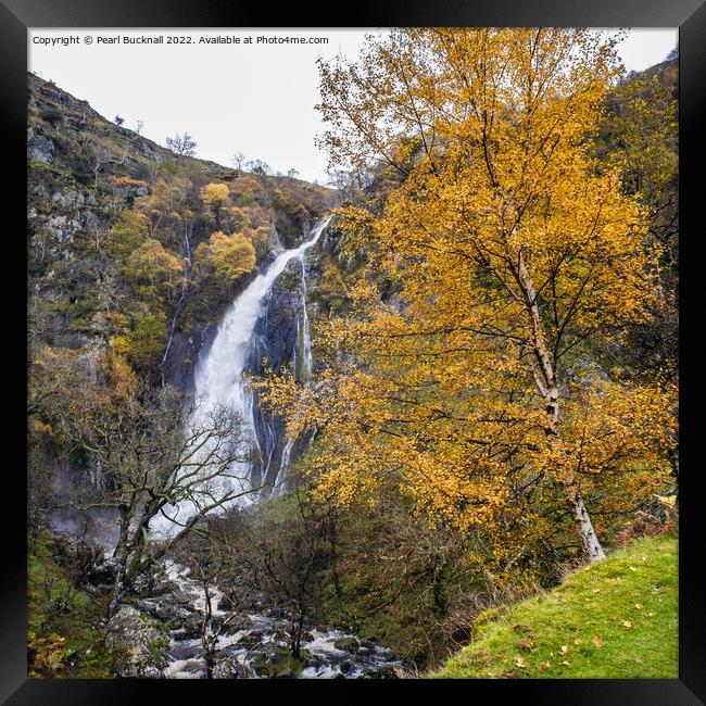 Aber Falls Waterfall in Autumn Snowdonia Framed Print by Pearl Bucknall