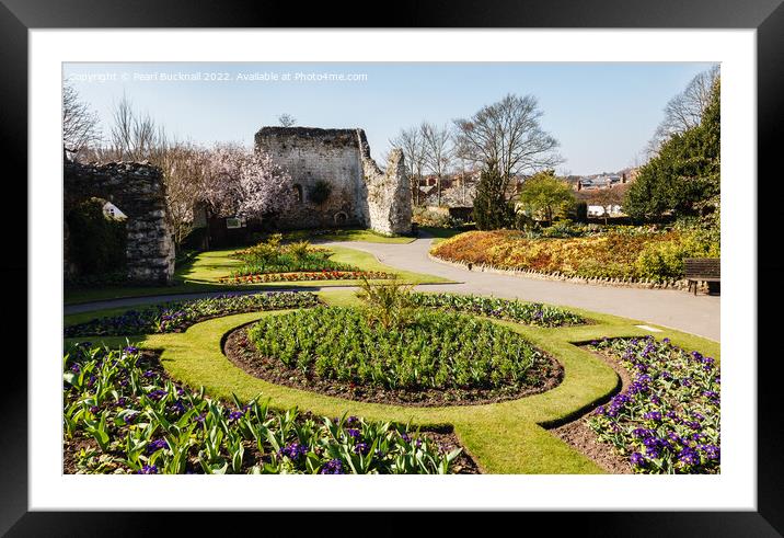Guildford Castle Gardens Surrey Framed Mounted Print by Pearl Bucknall