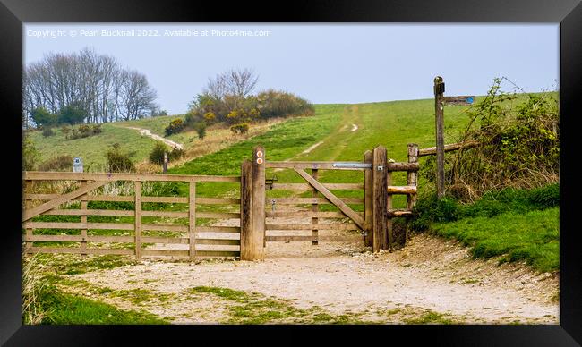 The Way to Harting Down Sussex  Framed Print by Pearl Bucknall