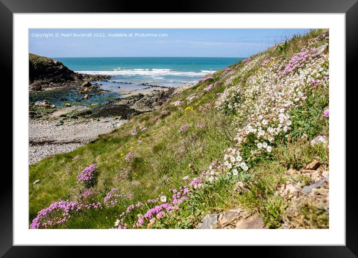 Summer Flowers at Cable Bay Anglesey Coast Framed Mounted Print by Pearl Bucknall