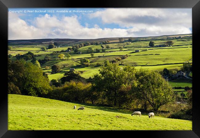 English Countryside Yorkshire Dales Framed Print by Pearl Bucknall