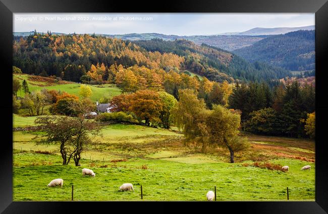 Welsh Countryside in Autumn Snowdonia Framed Print by Pearl Bucknall