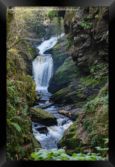 Rhaeadr Cynfal Waterfall  Framed Print by Pearl Bucknall