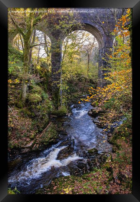 Afon Cynfal River near Llan Ffestiniog Framed Print by Pearl Bucknall