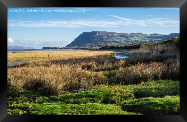 Abergwyngregyn to Llanfairfechan North Wales Coast Framed Print by Pearl Bucknall