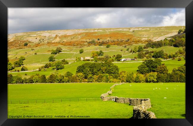English Country Landscape Swaledale Yorkshire Dale Framed Print by Pearl Bucknall