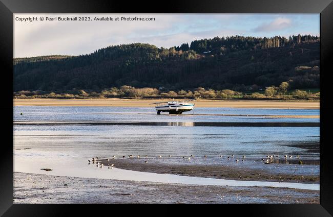 Feeding on the Tide Line Red Wharf Bay Anglesey Framed Print by Pearl Bucknall