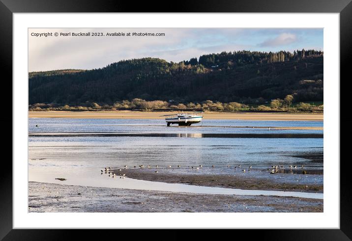 Feeding on the Tide Line Red Wharf Bay Anglesey Framed Mounted Print by Pearl Bucknall