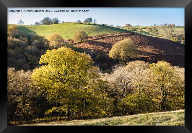 Welsh Countryside with Trees  Framed Print by Pearl Bucknall