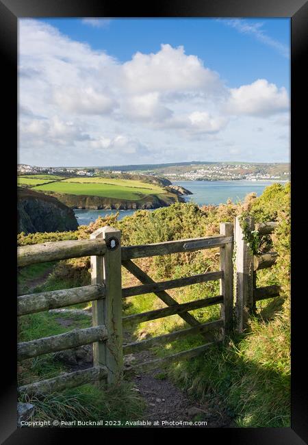Wales Coastal Path Pembrokeshire Coast Walk Framed Print by Pearl Bucknall