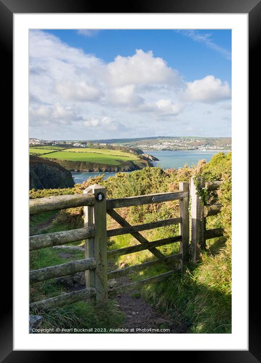 Wales Coastal Path Pembrokeshire Coast Walk Framed Mounted Print by Pearl Bucknall