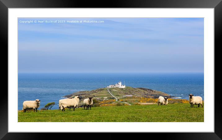 View to Point Lynas Anglesey Coast Panoramic Framed Mounted Print by Pearl Bucknall