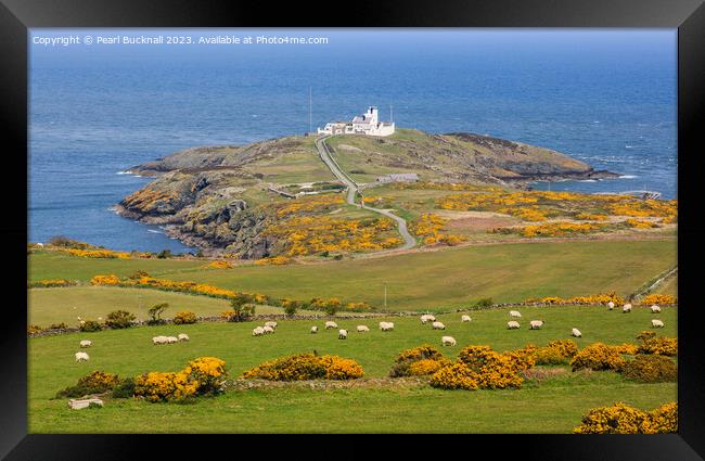 View to Point Lynas Anglesey Coast Framed Print by Pearl Bucknall