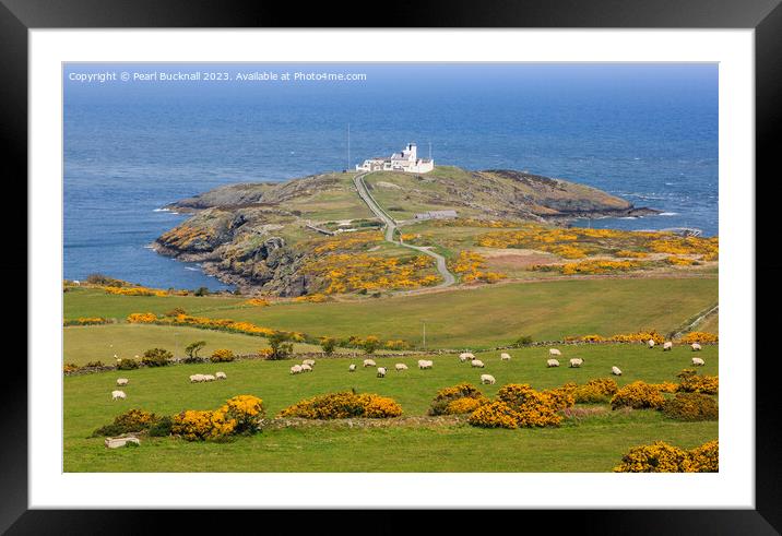 View to Point Lynas Anglesey Coast Framed Mounted Print by Pearl Bucknall