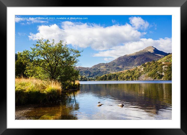 Yr Aran Reflection in Llyn Gwynant Snowdonia Framed Mounted Print by Pearl Bucknall