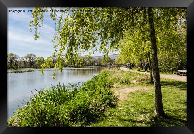 Cwmbran Boating Lake Wales Framed Print by Pearl Bucknall