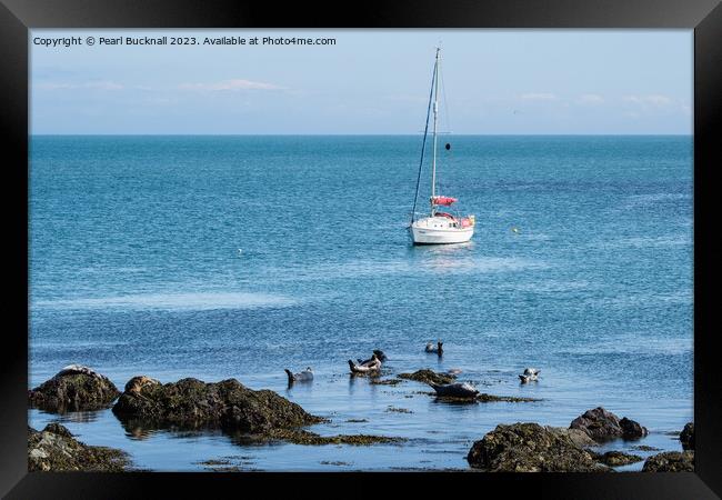 Bardsey Island Seascape Wales Coast Framed Print by Pearl Bucknall