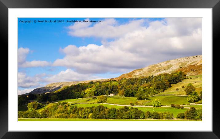 English Countryside Swaledale Yorkshire Dales Pano Framed Mounted Print by Pearl Bucknall