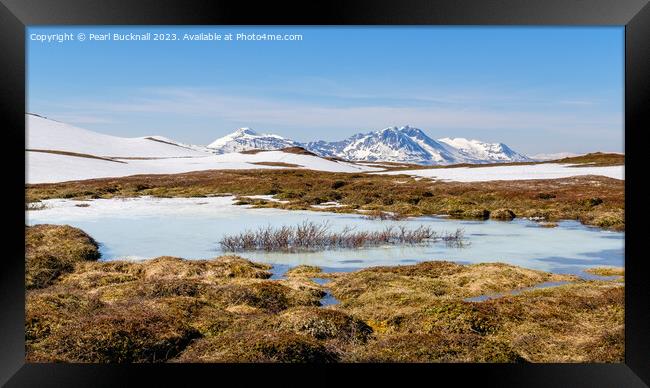 Outdoor Arctic Tundra Landscape in Norway Pano Framed Print by Pearl Bucknall