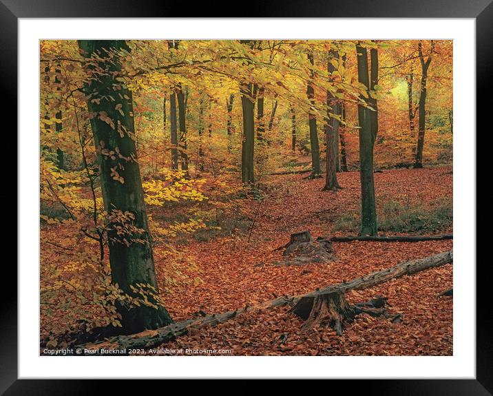 Autumn Woodland Beech Wood Framed Mounted Print by Pearl Bucknall