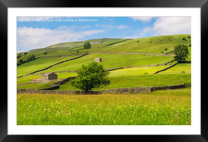 Wildflower Meadow Yorkshire Countryside Framed Mounted Print by Pearl Bucknall