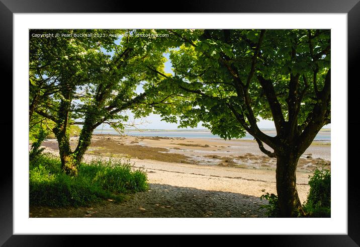 Penrhos Coastal Park Anglesey coast Framed Mounted Print by Pearl Bucknall