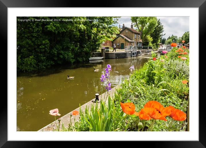 Colourful Boulters Lock on River Thames Berkshire Framed Mounted Print by Pearl Bucknall