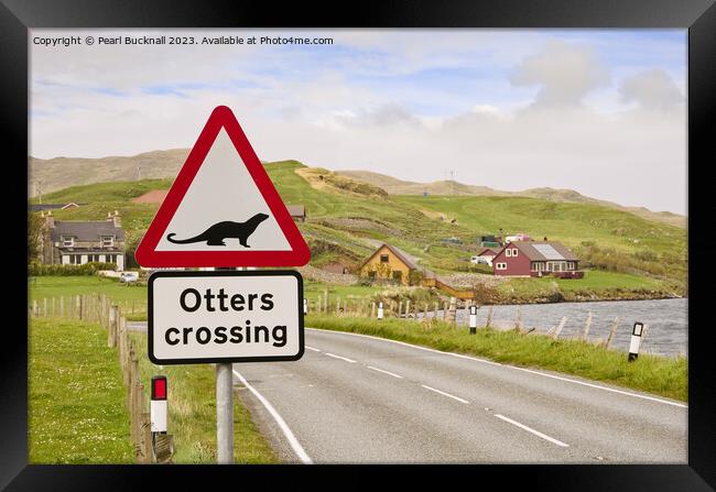 Otters Crossing Sign on Shetland Islands Framed Print by Pearl Bucknall