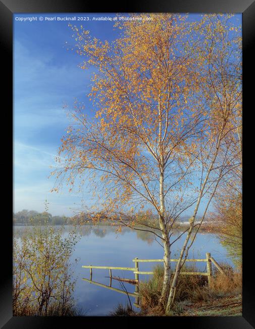 Tranquil Berkshire Countryside Lake Framed Print by Pearl Bucknall