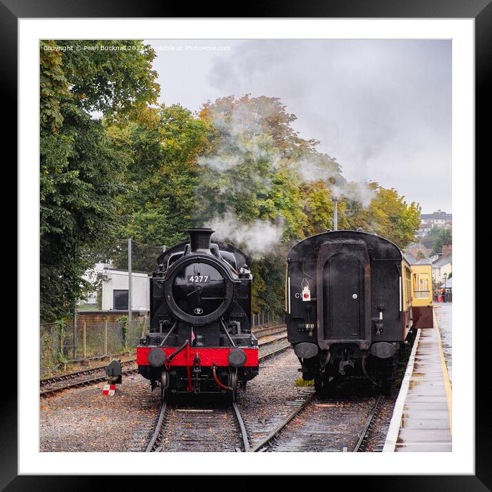 Paignton and Dartmouth Steam Railway Trains Framed Mounted Print by Pearl Bucknall