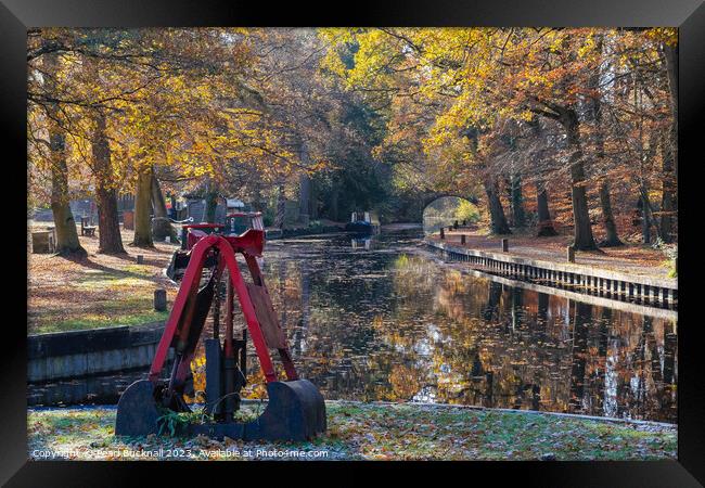 Autumn Colours on the Basingstoke Canal Framed Print by Pearl Bucknall