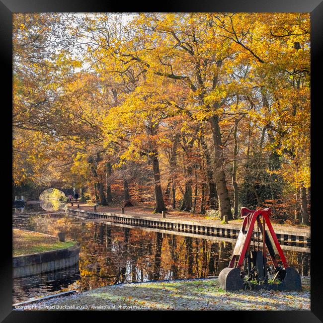 Autumn Colours on the Basingstoke Canal Framed Print by Pearl Bucknall