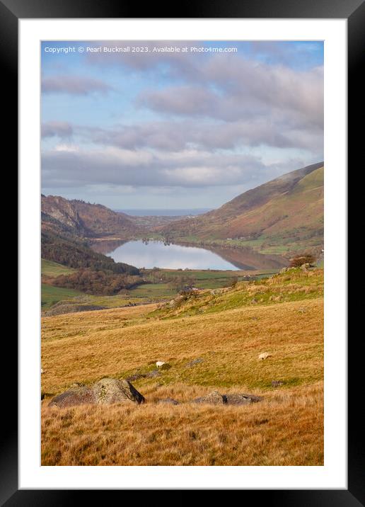 Llyn Cwellyn lake in Snowdonia Framed Mounted Print by Pearl Bucknall